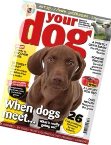Your Dog — October 2016