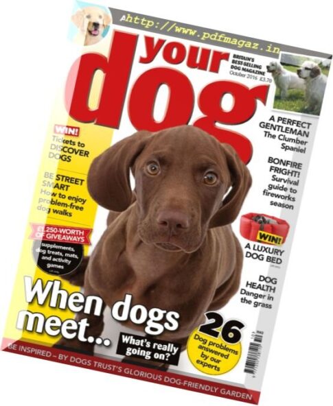 Your Dog – October 2016