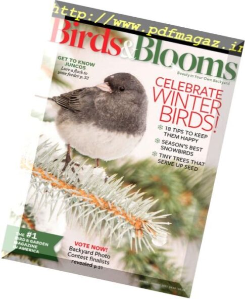 Birds & Bloom – December 2016 – January 2017
