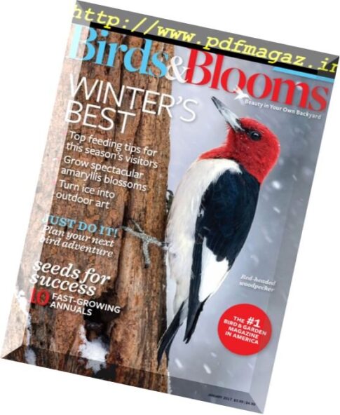 Birds and Blooms Extra – January 2017