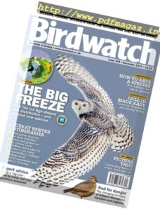 Birdwatch UK – December 2016