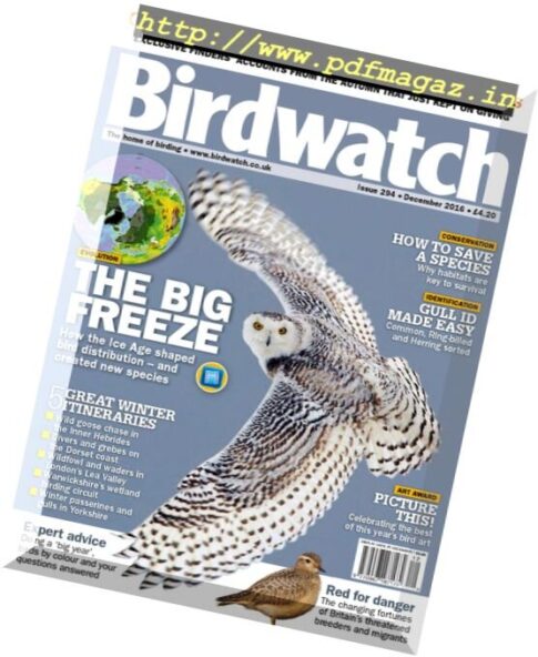 Birdwatch UK – December 2016
