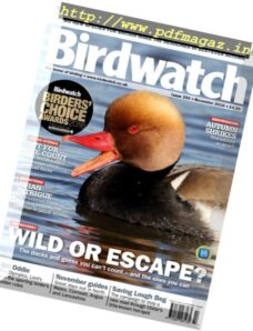 Birdwatch UK – November 2016
