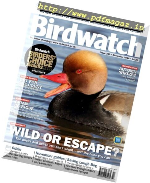 Birdwatch UK — November 2016
