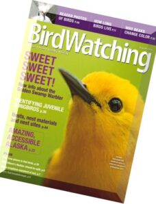 BirdWatching – July-August 2015