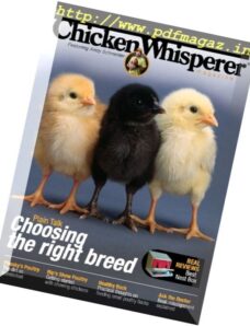 Chicken Whisperer – Spring 2016