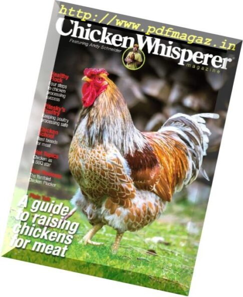 Chicken Whisperer — Summer 2016