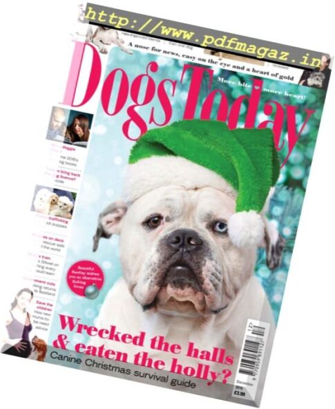 Dogs Today UK – December 2016