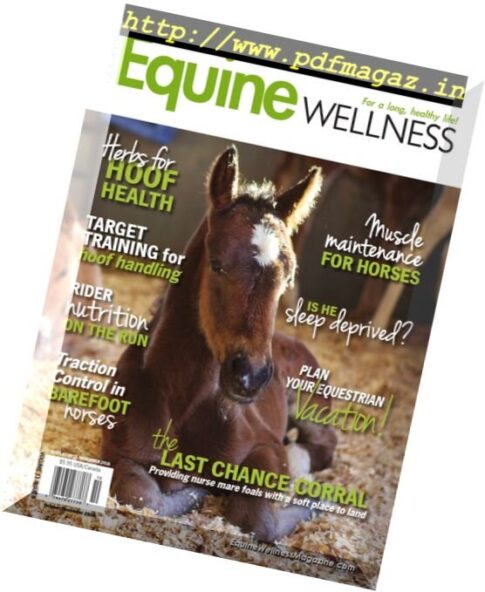Equine Wellness – October-November 2016