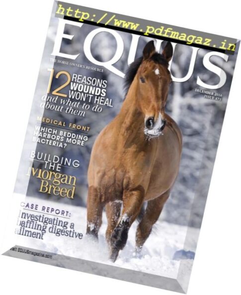 Equus – December 2016