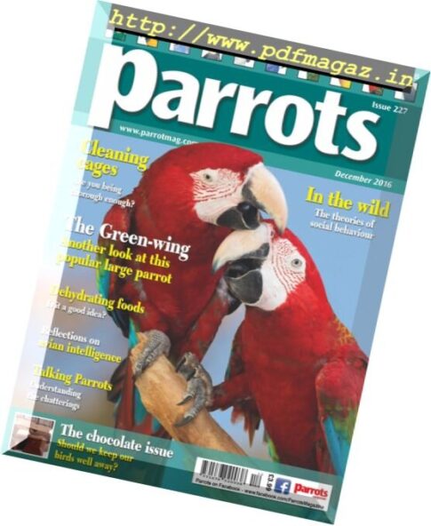 Parrots — December 2016