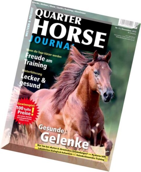 Quarter Horse – November 2015