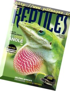 Reptiles – January-February 2017