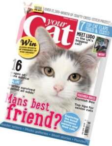 Your Cat – July 2015