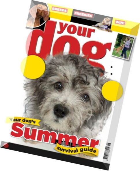 Your Dog – August 2015