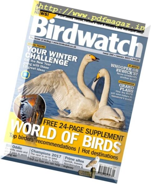 Birdwatch UK — January 2017
