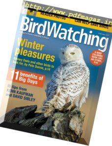 BirdWatching – February 2017