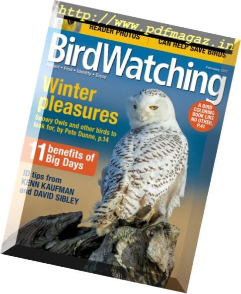 BirdWatching — February 2017