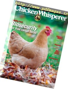Chicken Whisperer — Fall 2016