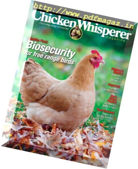 Chicken Whisperer – Fall 2016