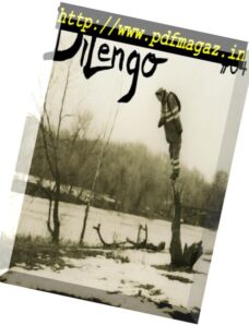 Dilengo – N 04, 2015