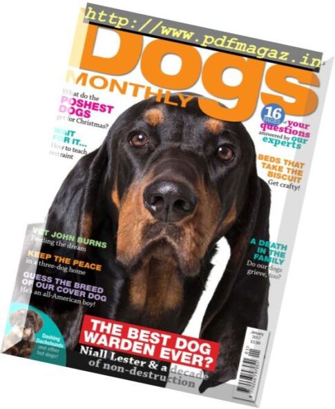 Dogs Monthly – January 2017