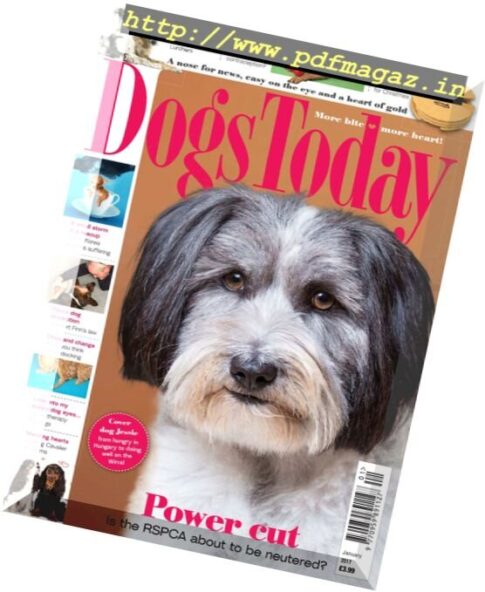 Dogs Today UK – January 2017