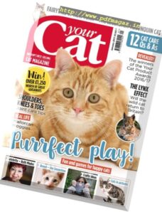 Your Cat — January 2017