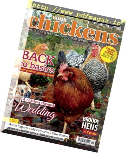 Your Chickens – January 2017