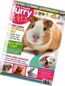 Small Furry Pets – January-February 2017
