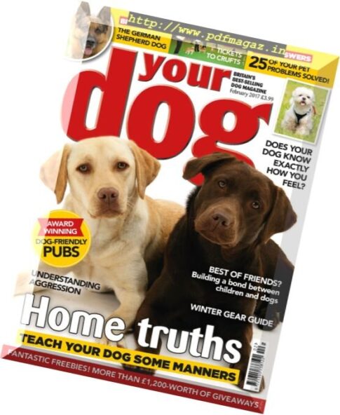 Your Dog — February 2017
