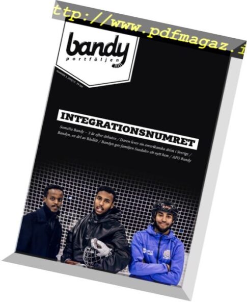 Bandyportfoljen – Nr.3, 2016-2017