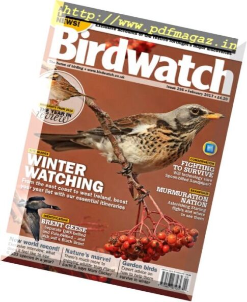 Birdwatch UK – February 2017