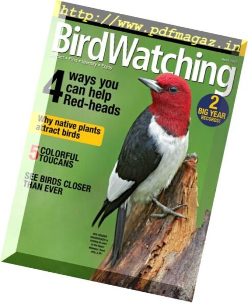 BirdWatching – April 2017