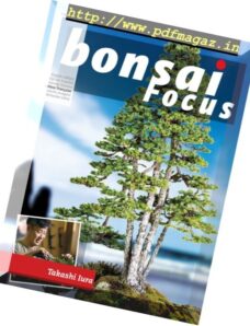 Bonsai Focus — Janvier-Fevrier 2017 (French Edition)