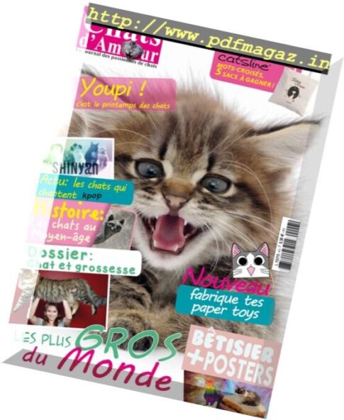 Chats D’Amour — N 43, 2016