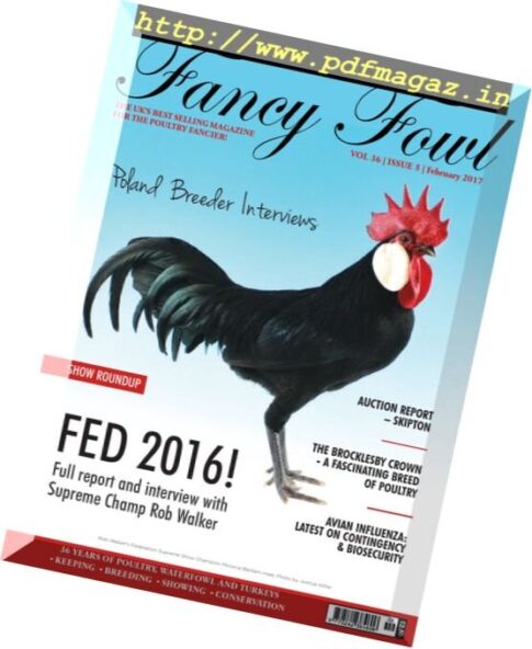 Fancy Fowl – February 2017