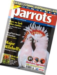 Parrots – March 2017