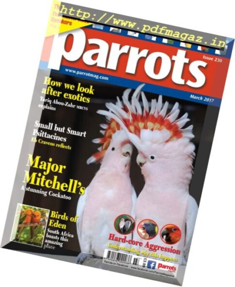 Parrots – March 2017
