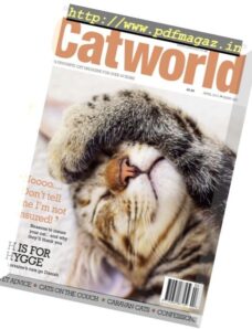 Cat World – April 2017