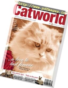 Cat World – February 2017