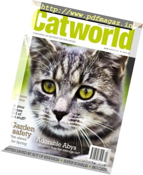 Cat World – March 2017