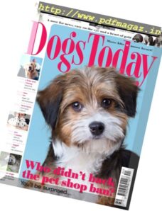 Dogs Today UK – April 2017