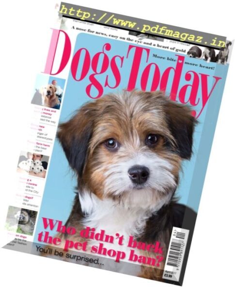 Dogs Today UK — April 2017