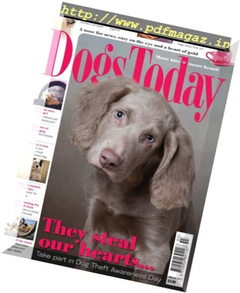 Dogs Today UK — March 2017