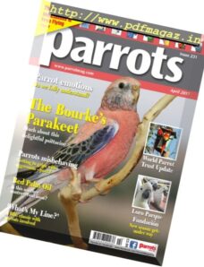 Parrots – April 2017