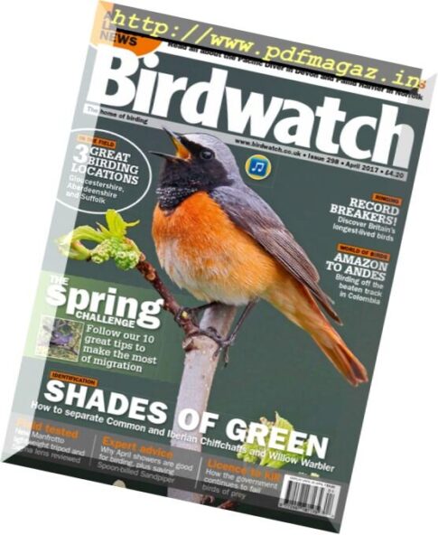 Birdwatch UK — April 2017
