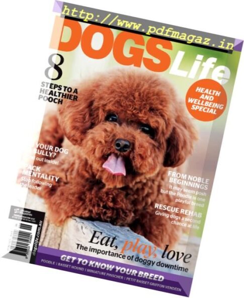Dogs Life – May-June 2017