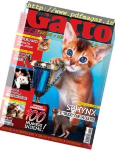 Gatto Magazine — Dicembre 2016 — Gennaio 2017