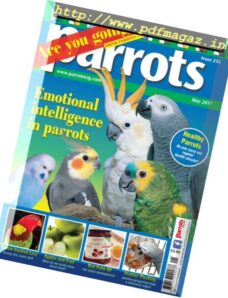 Parrots — May 2017
